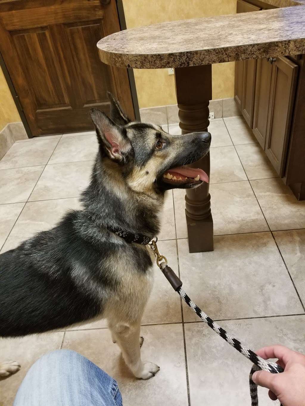 VitalPet - All Community Animal Hospital | 24021 US-59, Porter, TX 77365, USA | Phone: (281) 354-2724