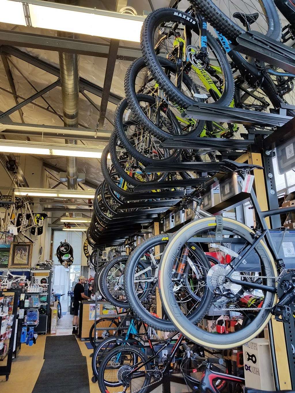 Roaring Mouse Cycles | 934 Mason St, San Francisco, CA 94129, USA | Phone: (415) 753-6272