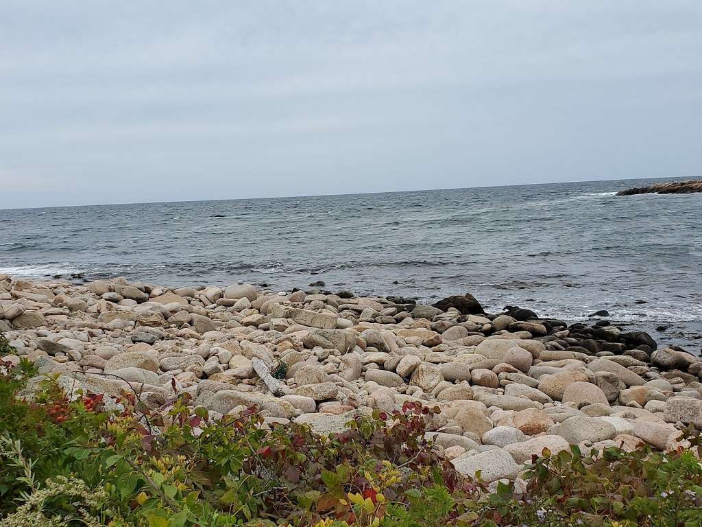 Loblolly Dive Site | Penzance Rd, Rockport, MA 01966, USA