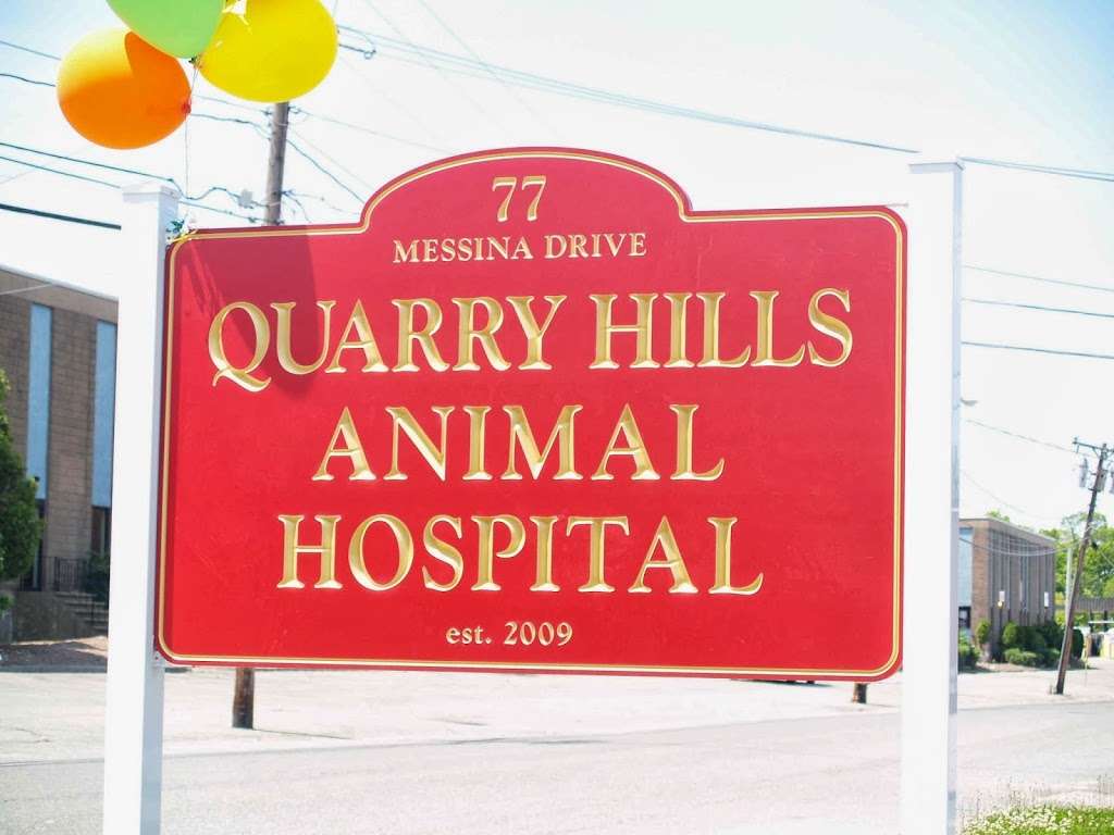 Quarry Hills Animal Hospital | 77 Messina Dr, Braintree, MA 02184, USA | Phone: (781) 817-6573