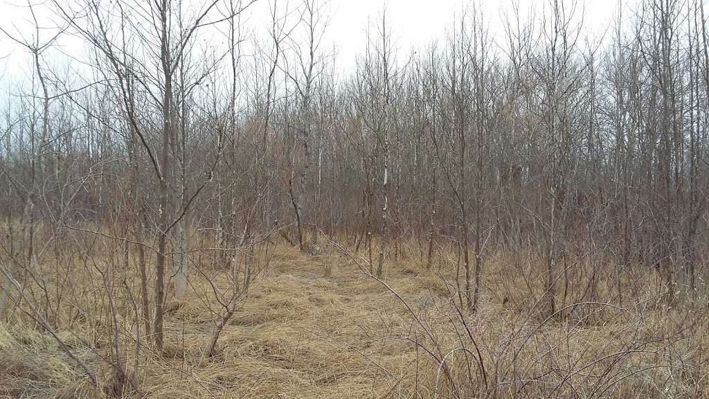 Abrams Creek Wetlands Preserve | Winchester, VA 22601, USA