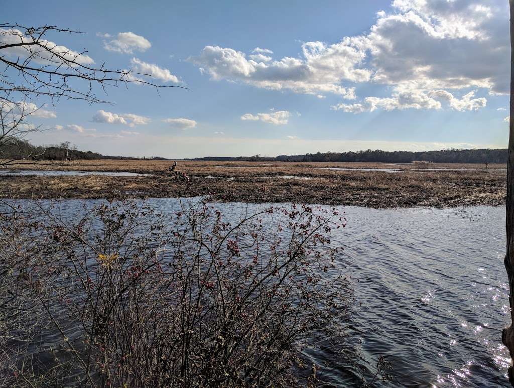 Natural Lands Trust Harold N. Peek Preserve | 2100 S 2nd St, Millville, NJ 08332 | Phone: (610) 353-5587