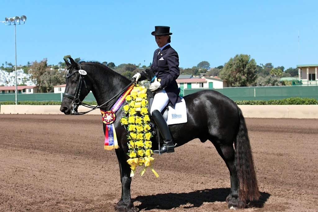 JILL BELTRAN DRESSAGE | 5256 S Mission Rd SUITE 703, Bonsall, CA 92003, USA | Phone: (760) 801-8652