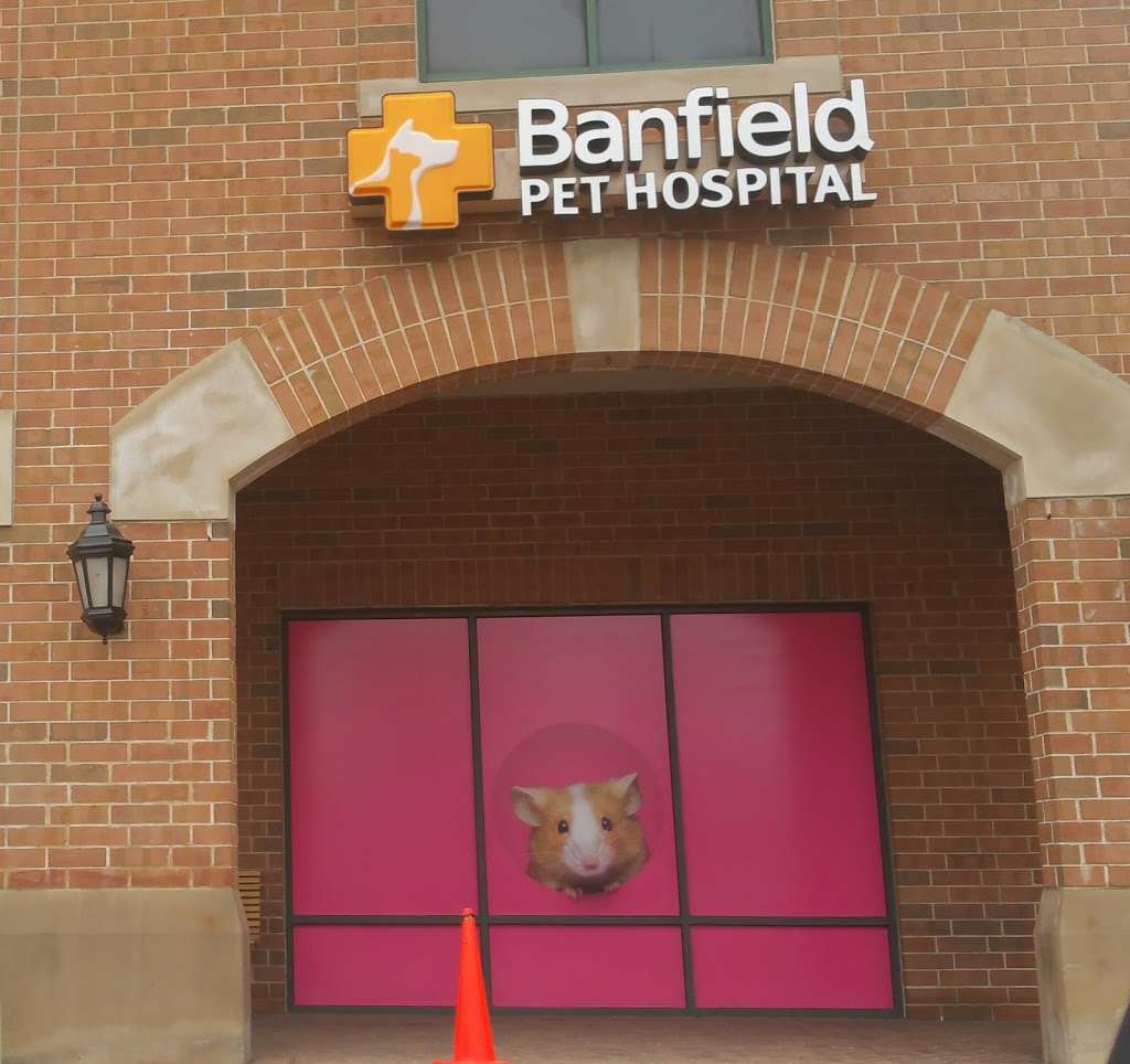 Banfield Pet Hospital | 291 Skokie Blvd, Northbrook, IL 60062, USA | Phone: (847) 205-9510