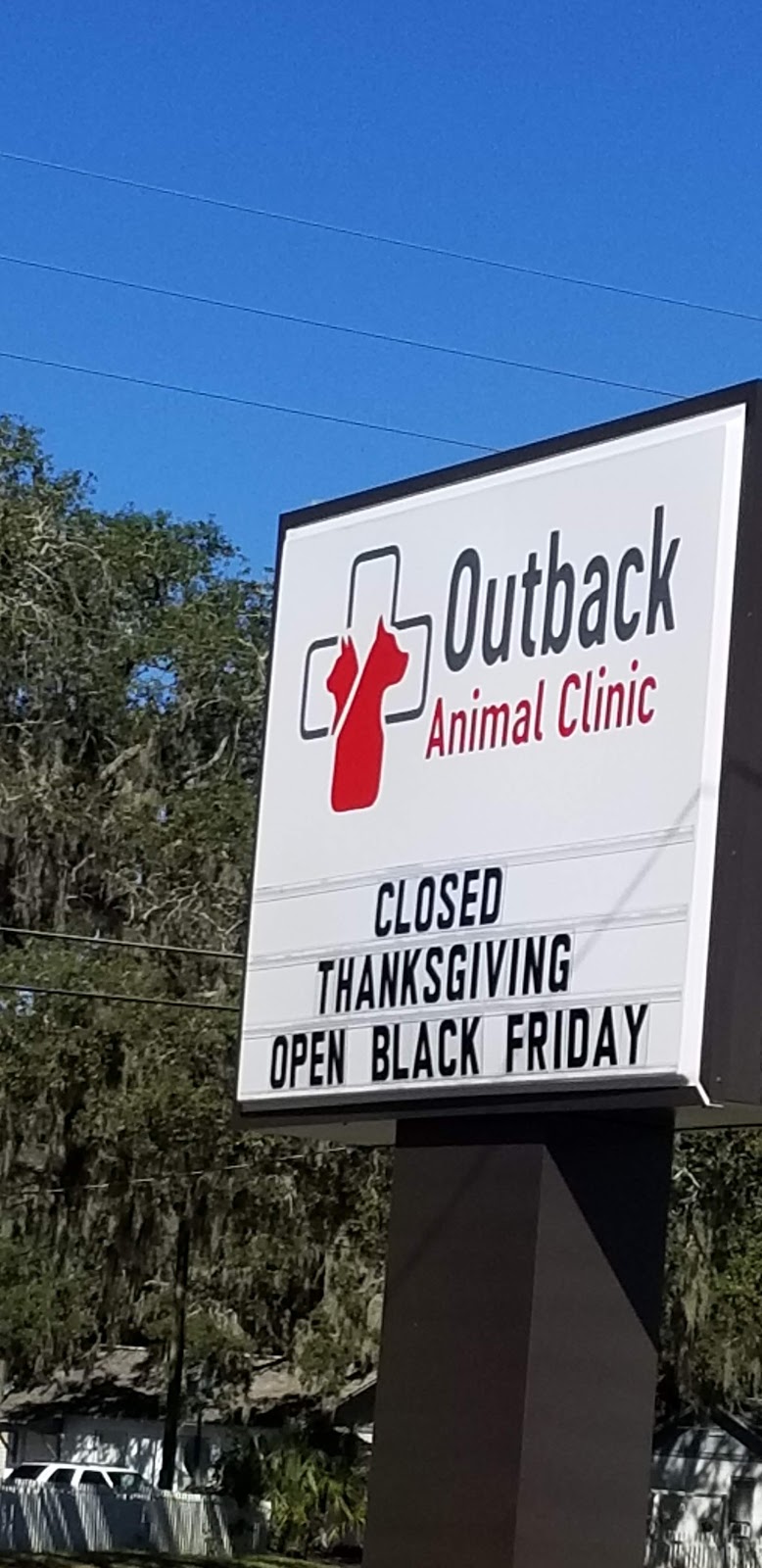 Outback Animal Clinic | N Commonwealth Ave Commonwealth Ave N, Polk City, FL 33868, USA | Phone: (863) 984-4123