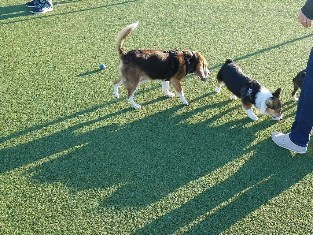 Foster City Dog Park | Foster City Blvd & Bounty Dr, Foster City, CA 94404, USA | Phone: (650) 286-3553