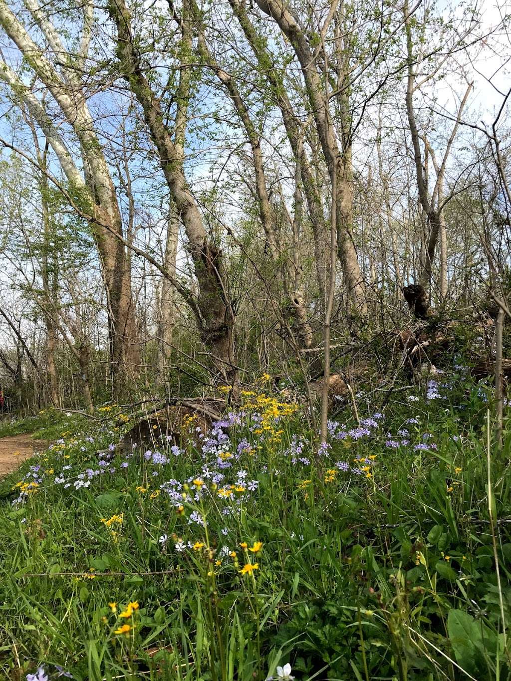 Victory Island Overlook | Billy Goat Trail Section C, Potomac, MD 20854