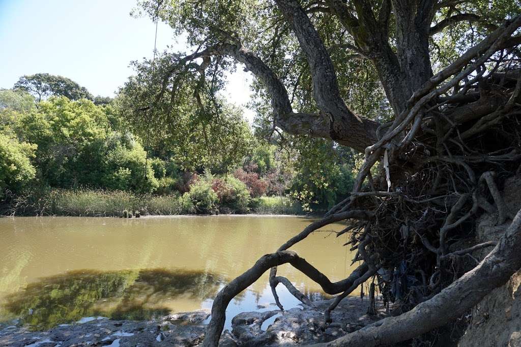 Napa River Trail Head | Trancas St, Napa, CA 94558, USA