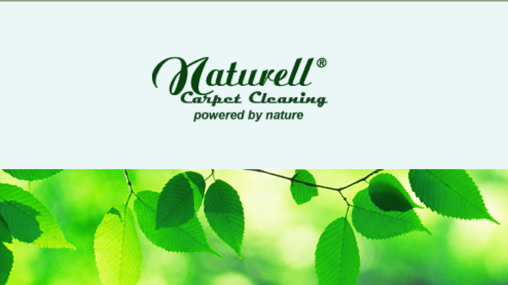 Naturell Carpet Cleaning | 4701 Patrick Henry Dr Bldg 6, Santa Clara, CA 95054, USA | Phone: (408) 391-5524