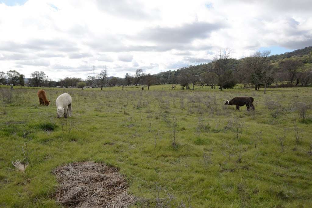 Grizzly Island Wildlife Area | 2548 Grizzly Island Rd, Suisun City, CA 94585, USA | Phone: (707) 425-3828