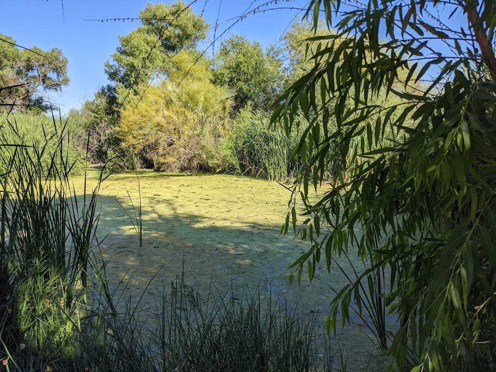 Sweetwater Wetlands Park | 2511 W Sweetwater Dr, Tucson, AZ 85745, USA | Phone: (520) 791-4331