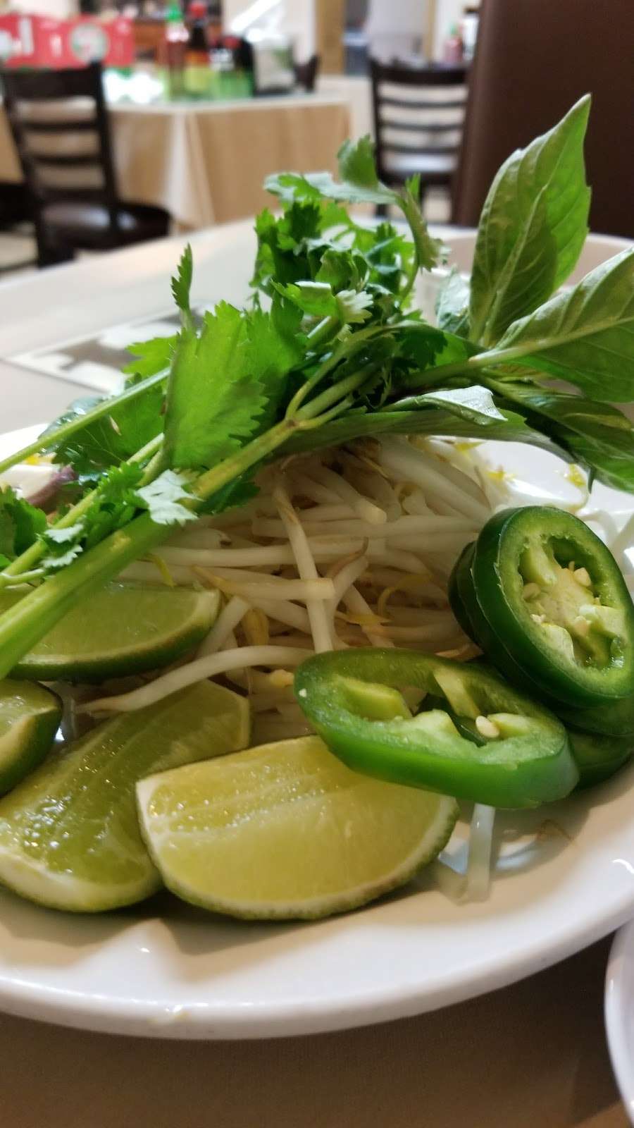 Golden Pho & Grill | 4102, 1036 S Federal Blvd, Denver, CO 80219 | Phone: (303) 975-0919