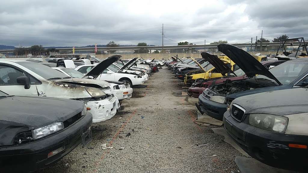 Pick-n-Pull Cash For Junk Cars | 8451 San Leandro St, Oakland, CA 94621, USA | Phone: (510) 729-7010