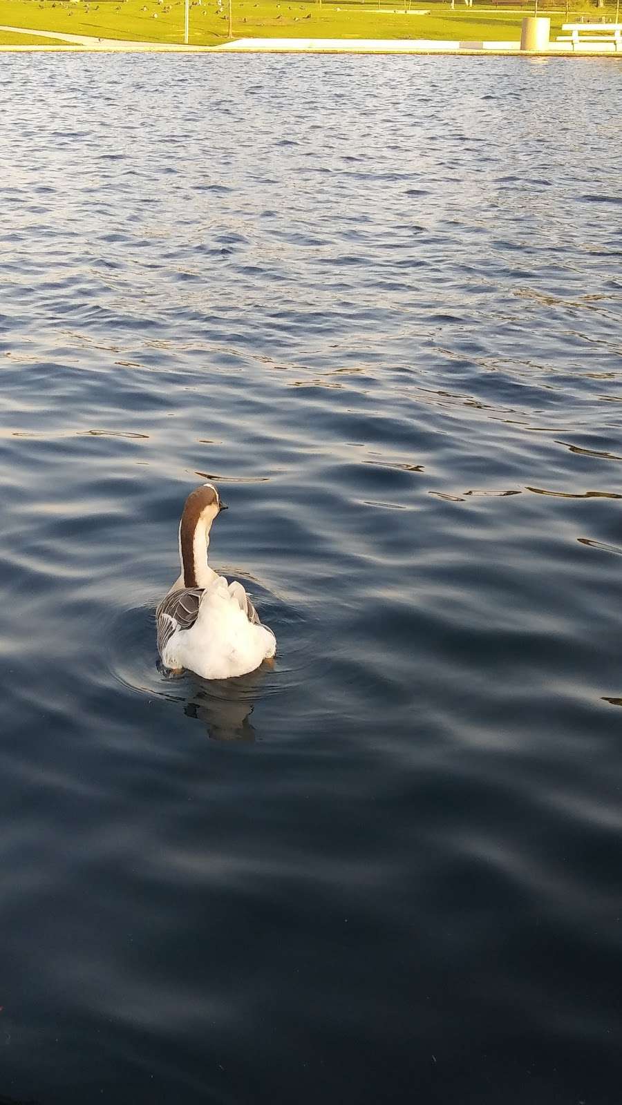 Regional Park | Cerritos, CA 90703, USA
