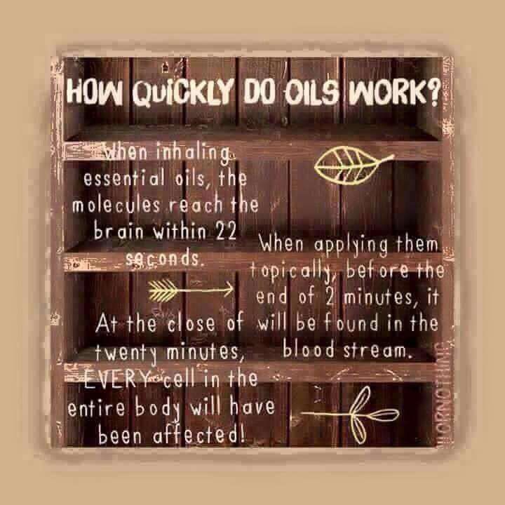 Oily Sista Essential Oils & Intentional Reiki - Young Living Ind | 608 Via Del Campo, San Marcos, CA 92078 | Phone: (805) 428-0629