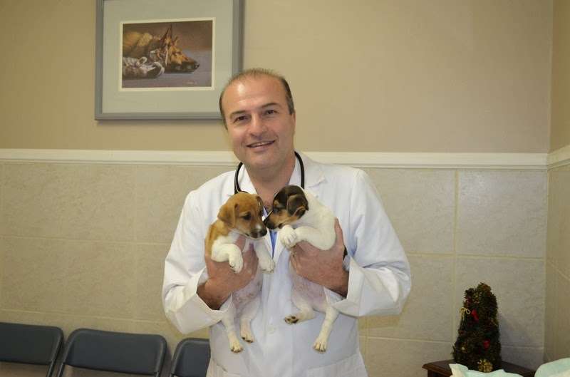 Duarte Azusa Animal Hospital | 2714 E Huntington Dr, Duarte, CA 91010, USA | Phone: (626) 357-2251