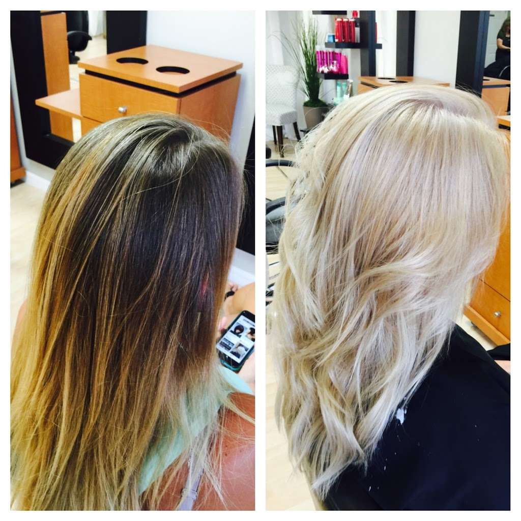 Mark Douglas Hairdressing | 4420 US-27 #5, Clermont, FL 34711, USA | Phone: (352) 708-5606