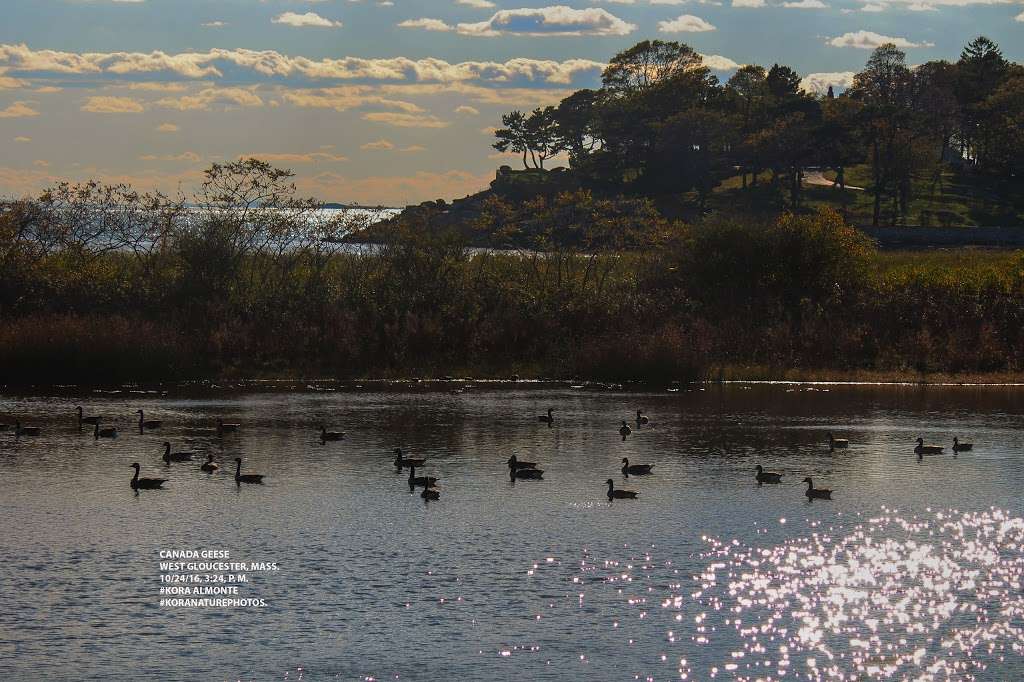 West Gloucester | Gloucester, MA 01930, USA