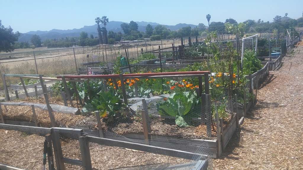 Las Flores Community Garden | 1300 E Avenida De Las Flores, Thousand Oaks, CA 91360