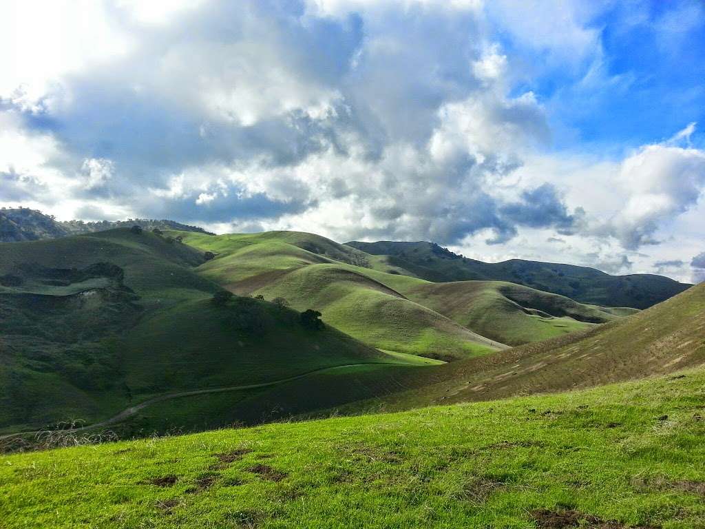 Contra Loma Regional Park | 1200 Frederickson Ln, Antioch, CA 94509 | Phone: (888) 327-2757