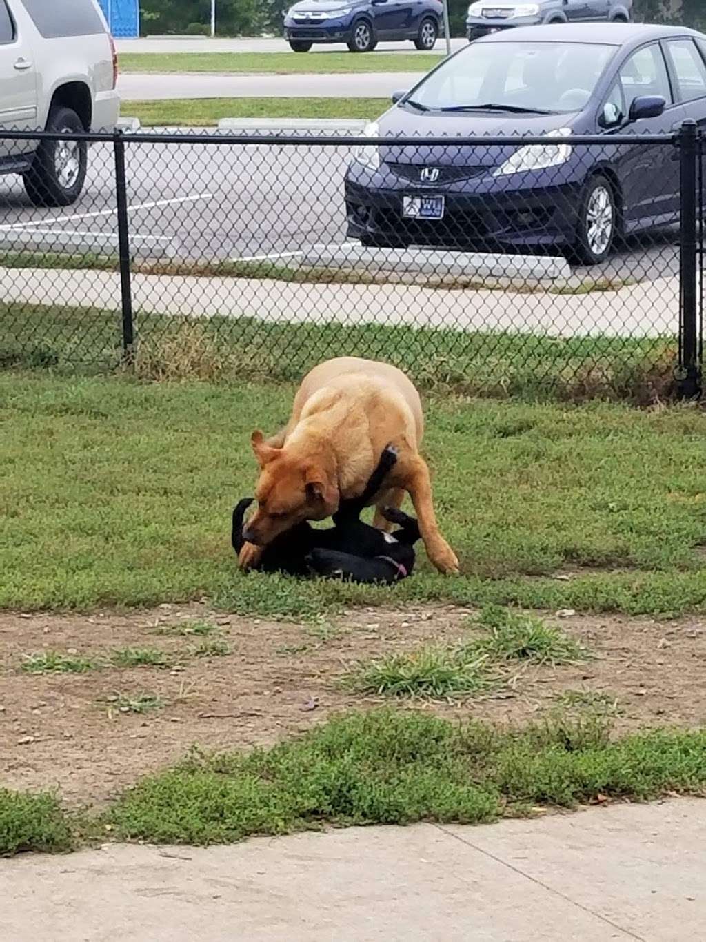 Stoll Off-Leash Dog Park | 12500 W 119th St, Overland Park, KS 66210, USA | Phone: (913) 782-0720