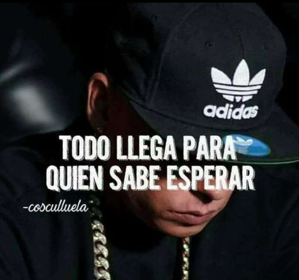 Casa d Pai | Pine Hill Loop, Lakeland, FL 33809, USA | Phone: (787) 710-6252