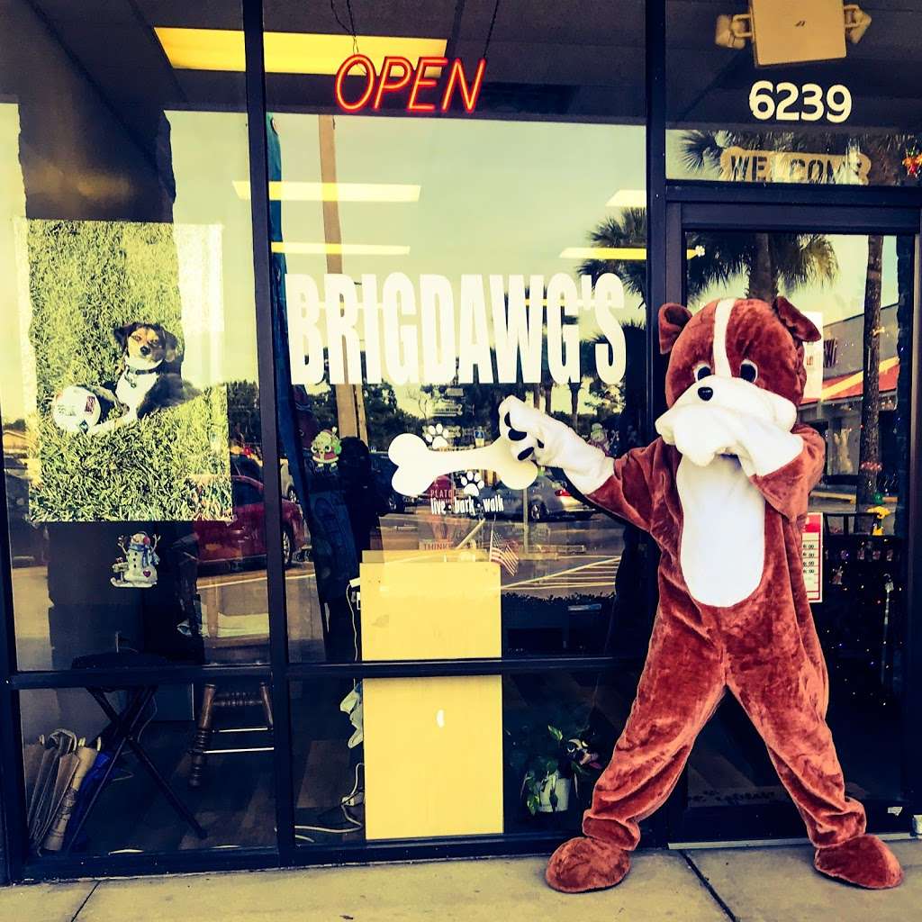 Brigdawgs | 6239 US-1, Port St John, FL 32927 | Phone: (321) 432-2952