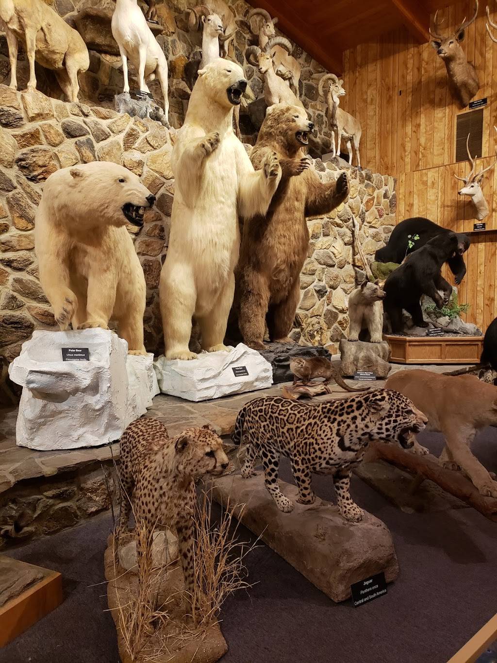 International Wildlife Museum | 4800 West Gates Pass, Boulevard, Tucson, AZ 85745 | Phone: (520) 629-0100