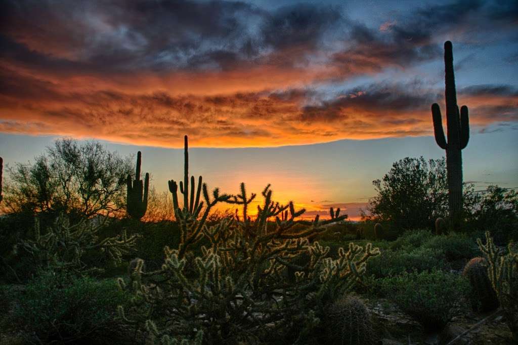 Trail Head Preserve - McDowell Mountains | Scottsdale, AZ 85255, USA