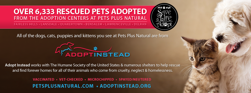 Pets Plus - Bensalem | 1336 Bristol Pike, Bensalem, PA 19020, USA | Phone: (267) 529-1490