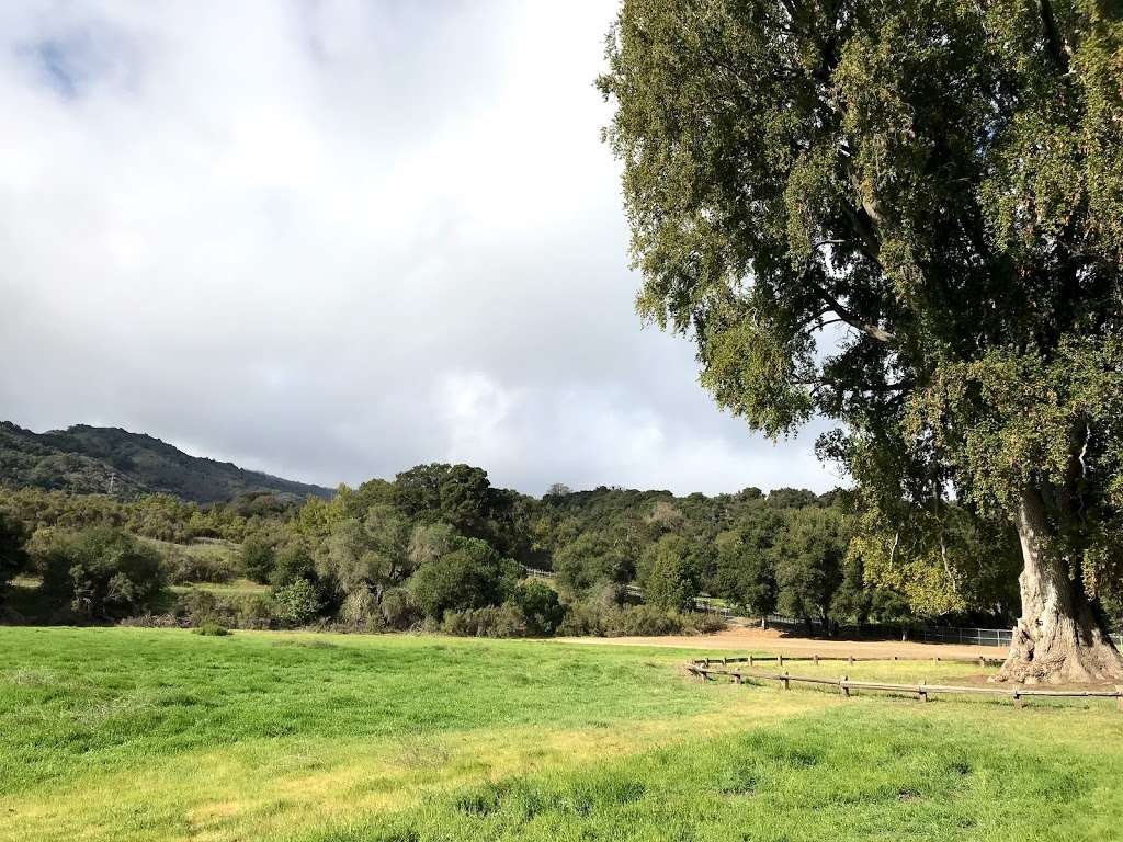 FOOTHILLS PRESERVE | Page Mill Rd, Los Altos, CA 94022, USA | Phone: (650) 949-1848