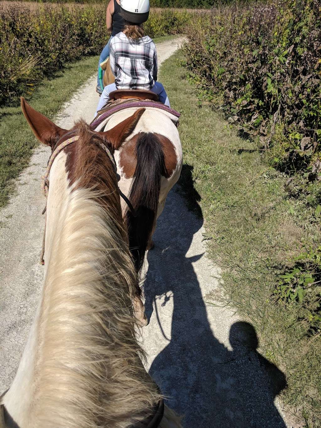 K-Trails Equestrian Adventures | 11949 Koteewi Dr, Noblesville, IN 46060, USA | Phone: (317) 770-8835