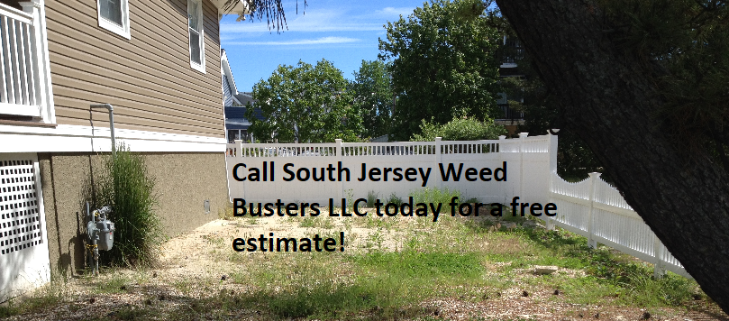 South Jersey Weed Busters LLC | 5850, 4060 Ridge Ave, Egg Harbor Township, NJ 08234 | Phone: (609) 742-3759