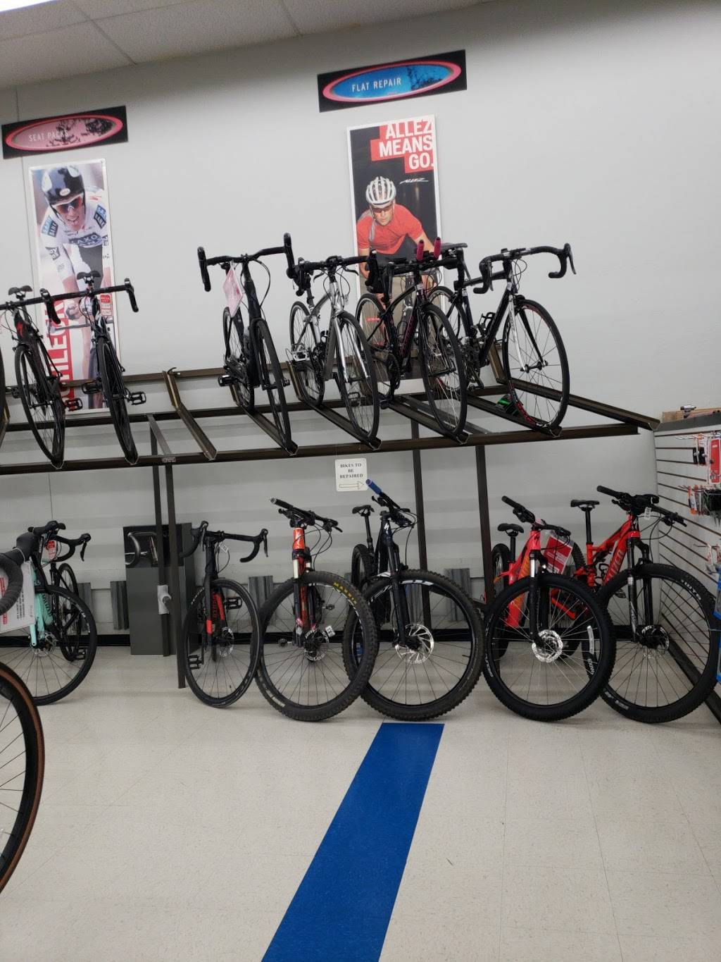 Oro Valley Bicycle | 2850 W Ina Rd # 150, Tucson, AZ 85741, USA | Phone: (520) 544-5999