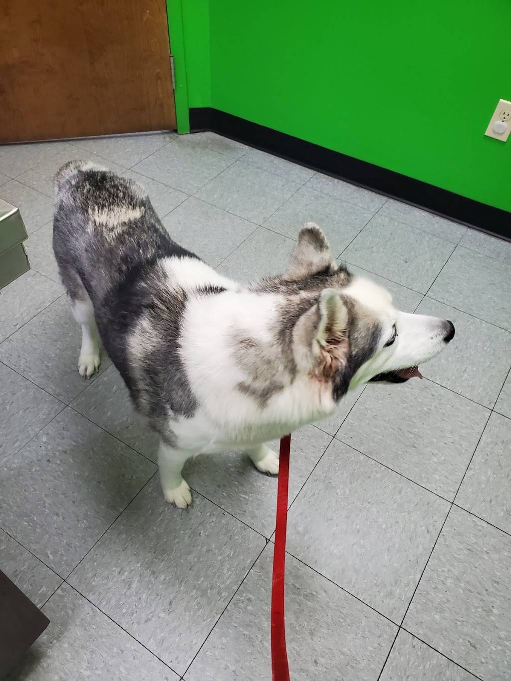 Columbia Animal Clinic | 26565 Royalton Rd, Columbia Station, OH 44028, USA | Phone: (440) 236-8200