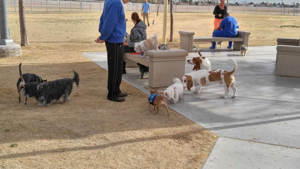 BARKIN BASIN PARK | 7351 W Alexander Rd, Las Vegas, NV 89129