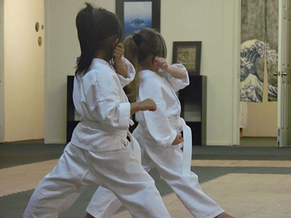 The Woodlands Shotokan Karate | 25222 Richards Rd, Spring, TX 77386, USA | Phone: (713) 545-2192