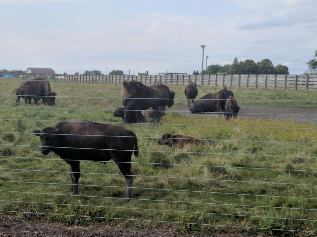 Bison Barn | Pine St, Batavia, IL 60510, USA