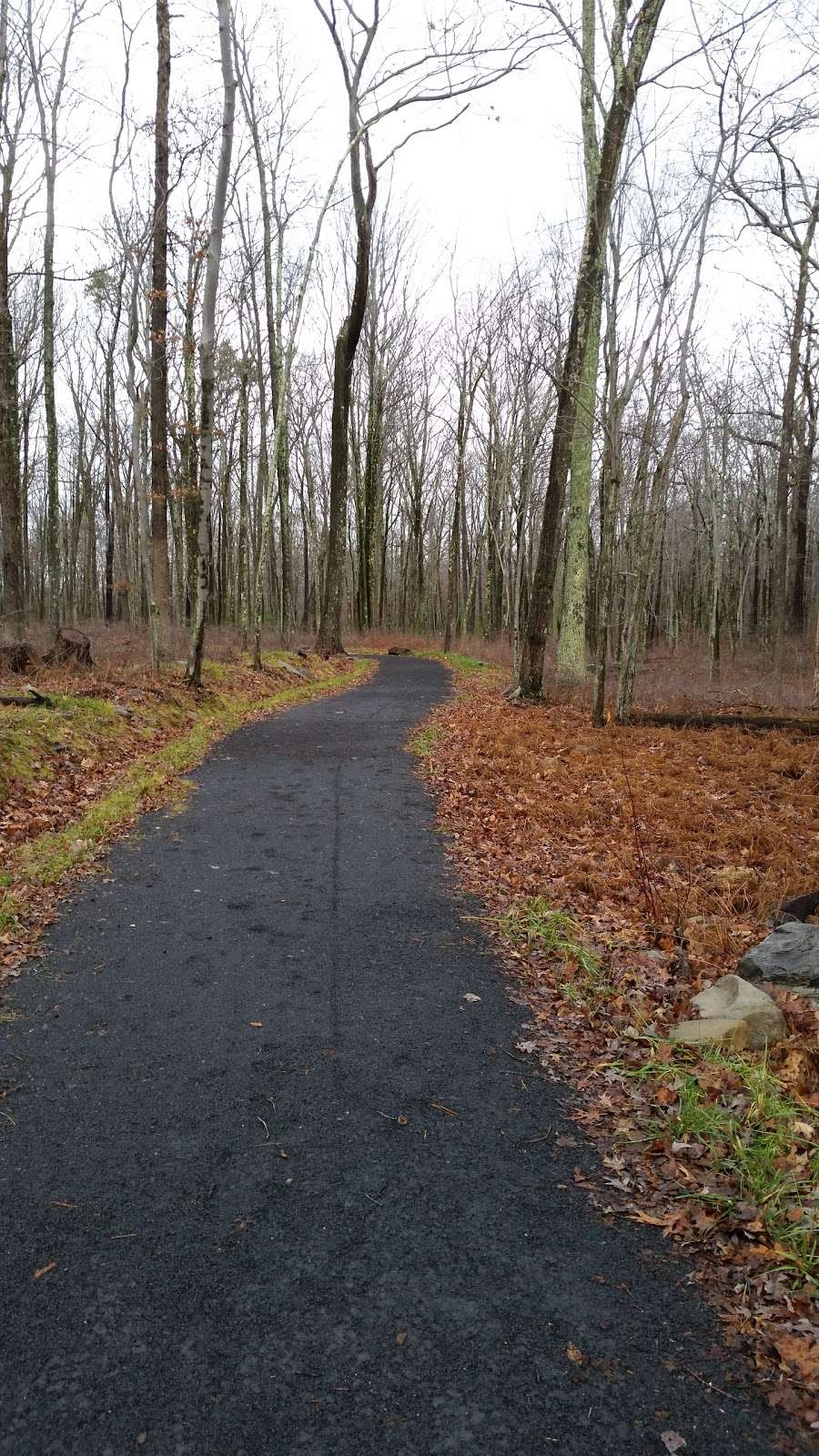 Cornelia & Florence Bridge Nature Preserve | 983 Twin Lakes Rd, Milford, PA 18337, USA