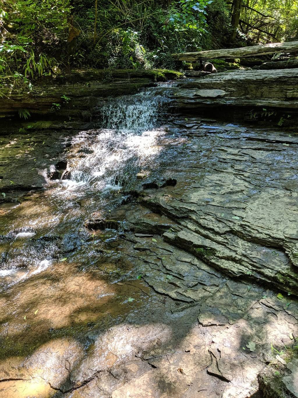 Jessamine Creek Gorge | 1232-1406 Corman Ln, Nicholasville, KY 40356, USA | Phone: (859) 885-2310 ext. 1014