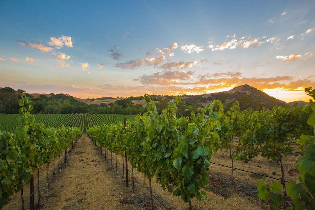 VinoVisit | 851 Napa Valley Corporate Way I, Napa, CA 94558, USA | Phone: (707) 294-1910