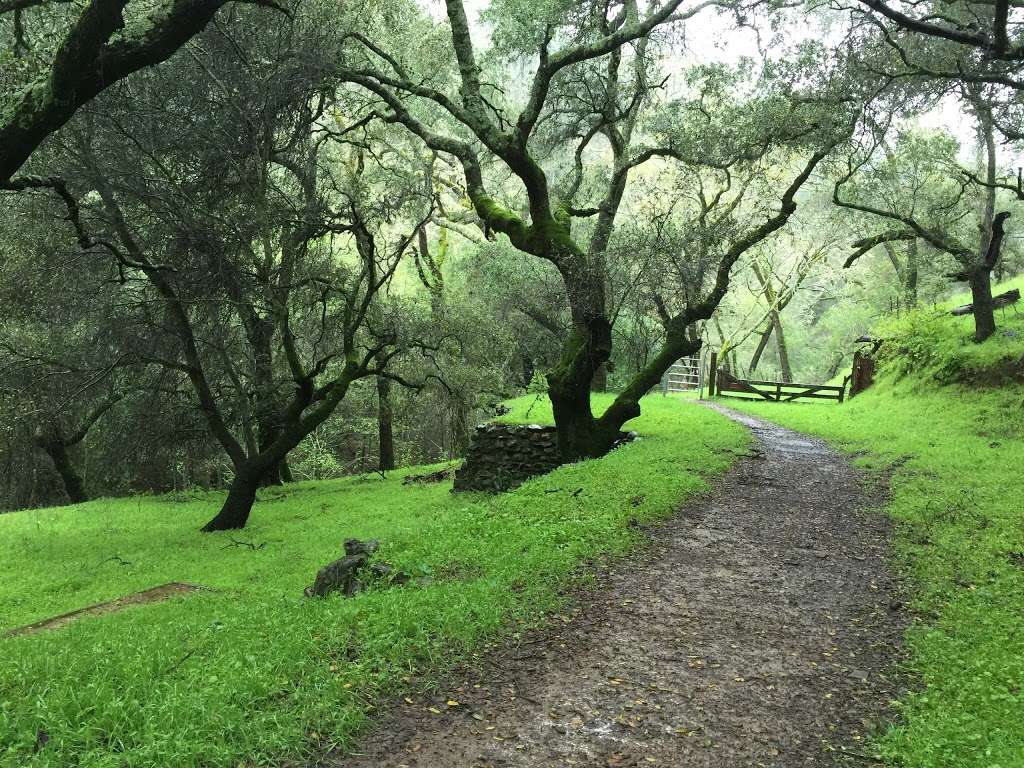 Moore Creek Park | 2602 Chiles Pope Valley Rd, St Helena, CA 94574, USA