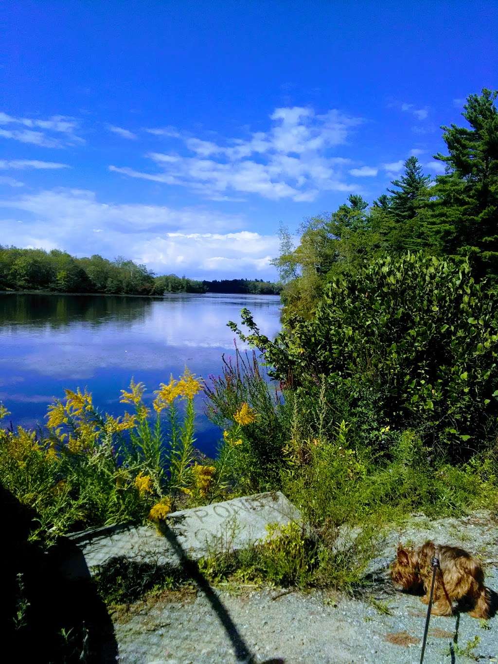 Ames Norwell State Park Parking Area | 724 Linwood St, Abington, MA 02351, USA