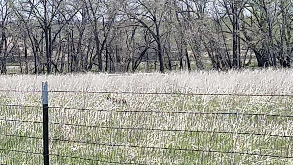 Coal Creek Trail - Lafayette, CO | Lafayette, CO 80026, USA