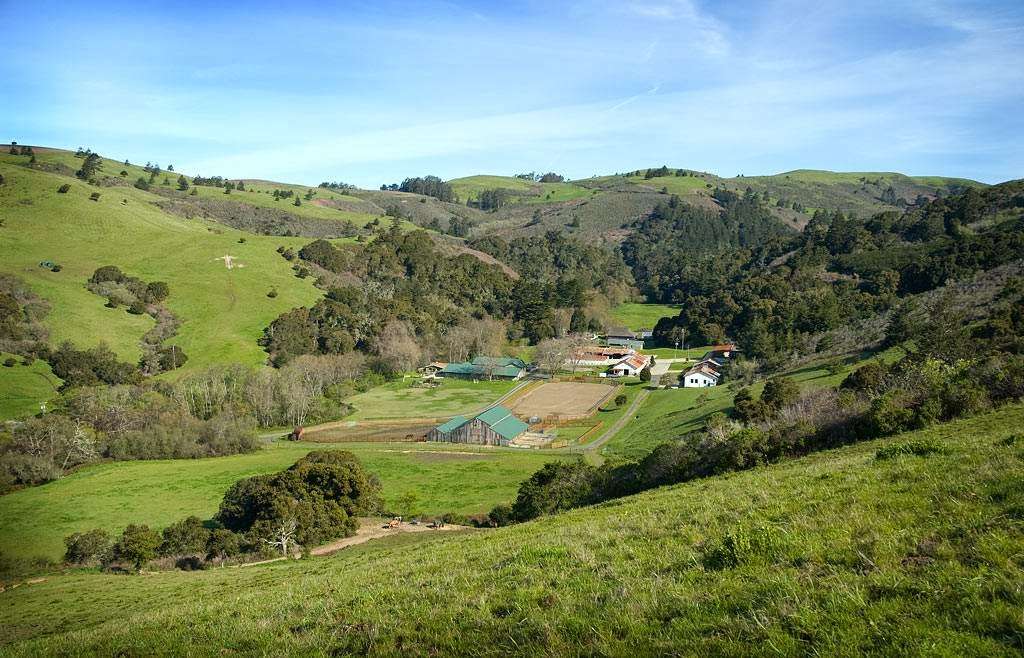 Leftcoast Grassfed | 2997 Pescadero Creek Rd, Pescadero, CA 94060, USA | Phone: (650) 879-2147