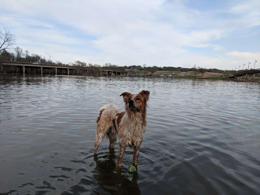 White Rock Lake Dog Park | 8000 E Mockingbird Ln, Dallas, TX 75218, USA | Phone: (214) 671-8001