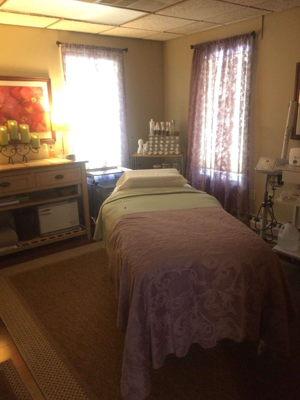 Susan Baatz, Massage & Facial Studio | 1082 Taylorsville Rd #100, Washington Crossing, PA 18977, USA | Phone: (215) 499-5685