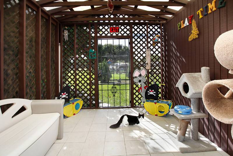 A Country Cat House | 12006 SW 64th St, Miami, FL 33183, USA | Phone: (305) 279-9770