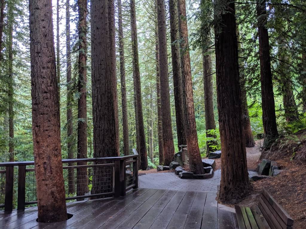 Redwood Observation Deck | Wildwood Trail, Portland, OR 97205 | Phone: (503) 865-8733