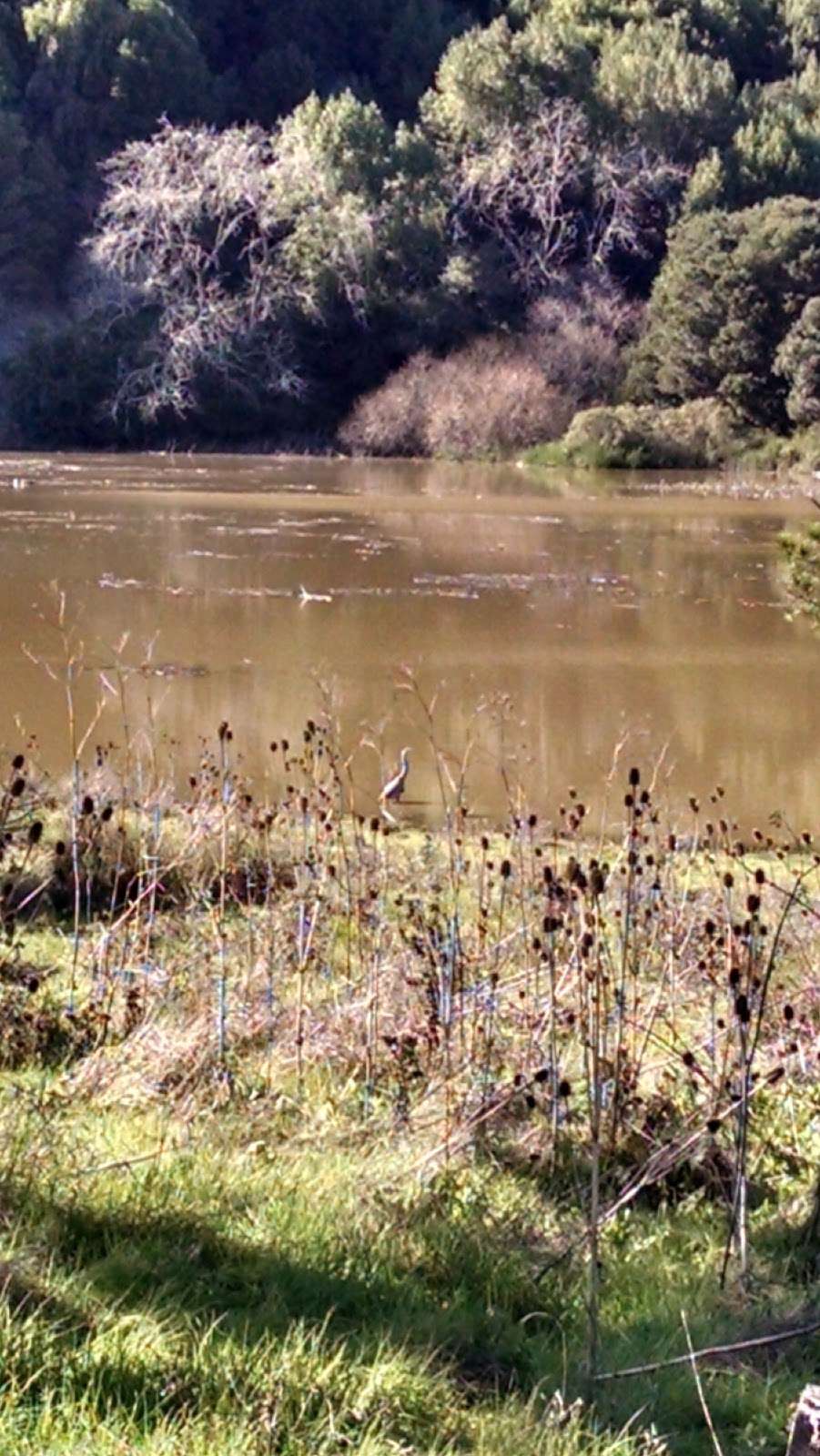 EBMUD Valle Vista Staging Area | Moraga, CA 94556, USA | Phone: (866) 403-2683